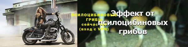 хмурый Балабаново