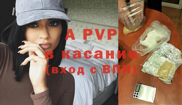 индика Горнозаводск